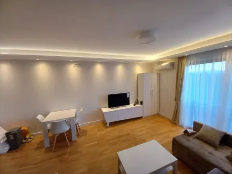 Stan-na-dan, garsonjera, 35m², Tološka šuma, Podgorica - image 2