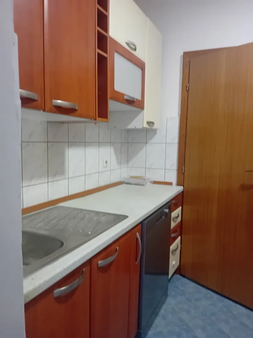 Kuhinja sa drvenim elementima, radnom površinom i ugrađenom mašinom za suđe.