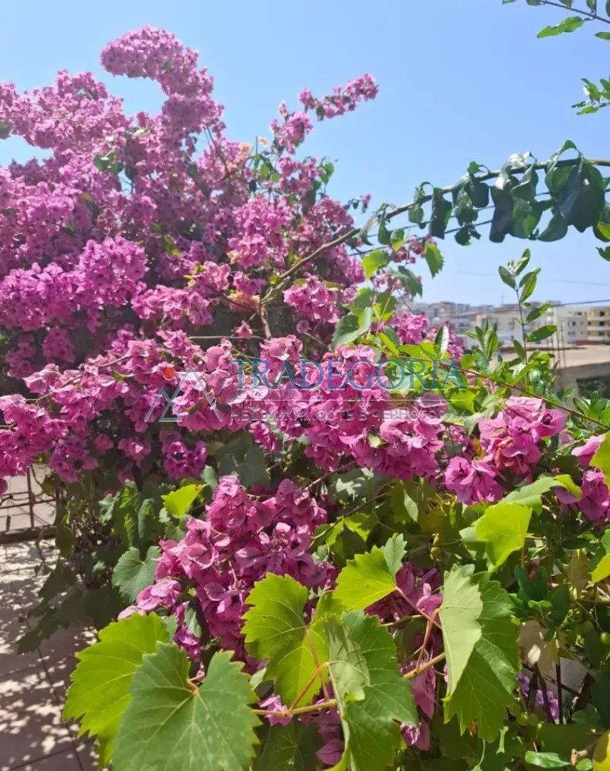Prodaja, kuća, 115m², Dobra Voda, Bar