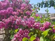 Sale, house, 115m², Dobra Voda, Budva - image 12