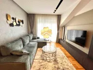 Izdavanje, jednosoban stan, 50m², Stari Aerodrom, Podgorica - image 1