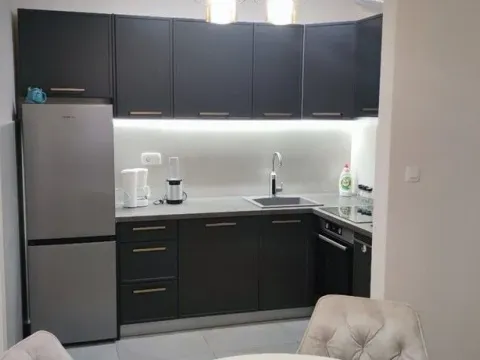 Rent, one bedroom apartment, 50m², Central Point, Podgorica - image 2