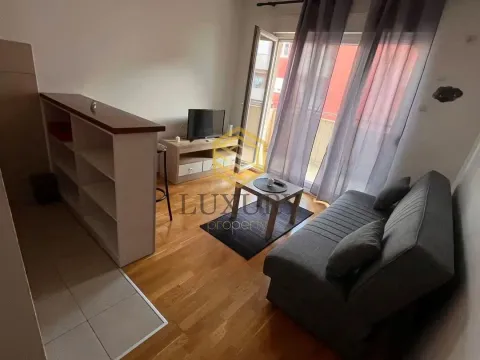 Rent, studio apartment, 27m², Ljubović, Podgorica - image 2