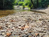 Prodaja, plac, 1600m², Kolašin, Crna Gora - image 2