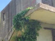 Prodaja, kuća, 160m², Sutomore, Bar - image 3