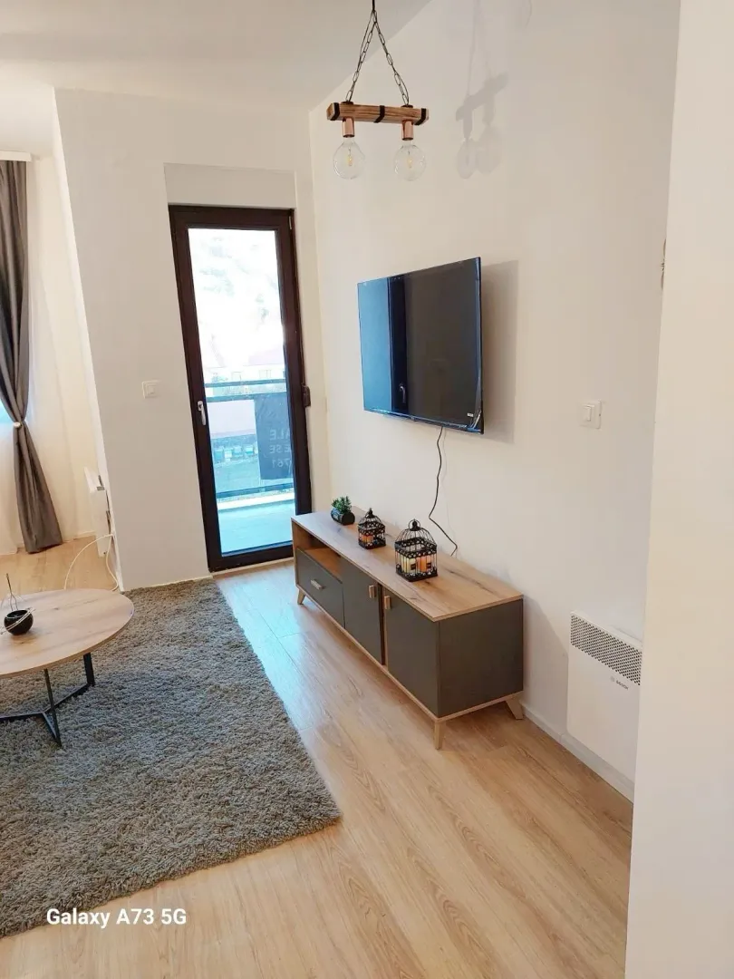 Pogled na dnevni boravak sa TV komodom, tepihom i izlazom na terasu.