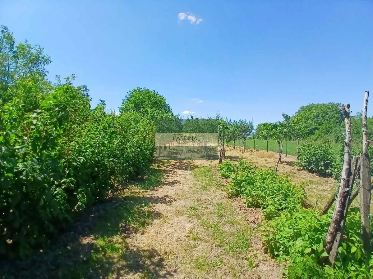Prodaja, kuća, 65m², Kovačevac, Jagodina