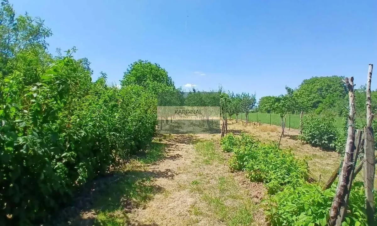 Prodaja, kuća, 65m², Kovačevac, Jagodina