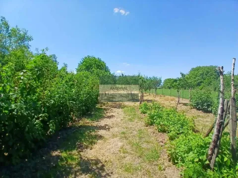 Kuća in Kovačevac