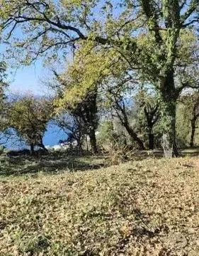 Prodaja, plac, 1227m², Dobra Voda, Budva - image 11