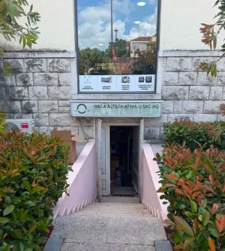 Izdavanje, poslovni prostor, 24m², Centar, Podgorica - image 2