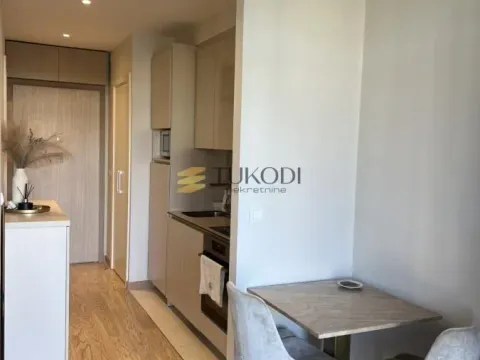 Izdavanje, jednosoban stan, 32m², Savski Venac, Beograd - image 4