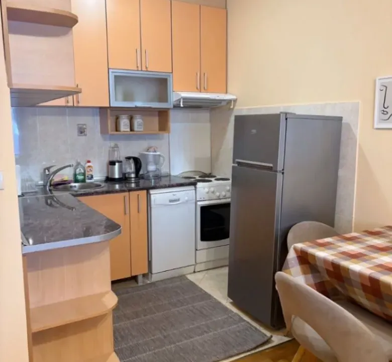 Izdavanje, jednosoban stan, 47m², Preko Morače, Podgorica