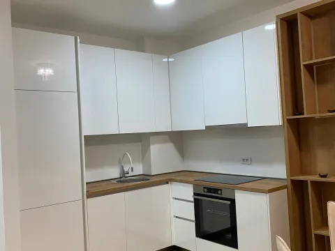 Izdavanje, jednosoban stan, 46m², Golubovina, Budva - image 3