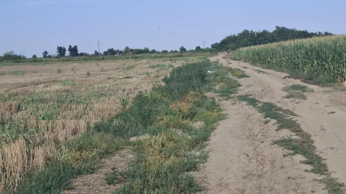 Prodaja, plac, 27500m², Futog, Novi Sad Sve Podlokacije