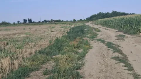 Prodaja, plac, 27500m², Futog, Novi Sad Sve Podlokacije - image 11