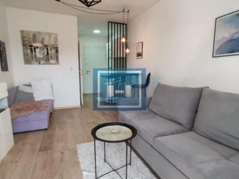 Izdavanje, garsonjera, 24m², Centar, Jagodina - image 7