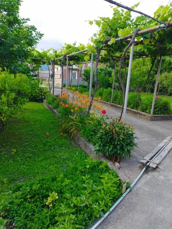 Sale, house, 400m², Bar, Crna Gora