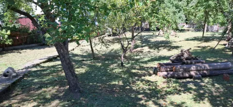 Prodaja, kuća, 1000m², Centar, Mojkovac - image 4