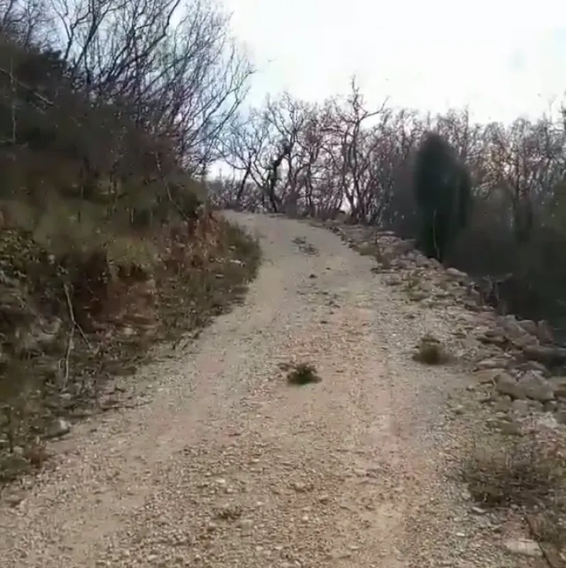 Prodaja, plac, 20752m², Župci, Bar