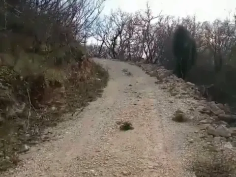 Prodaja, plac, 20752m², Župci, Bar - image 6