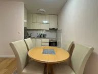 Izdavanje, jednosoban stan, 50m², Central Point, Podgorica - image 8