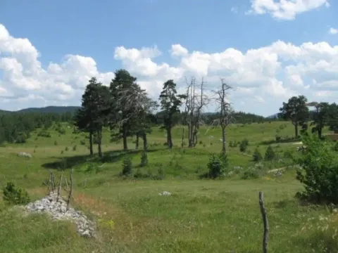 Prodaja, plac, 14677m², Žabljak, Crna Gora - image 3