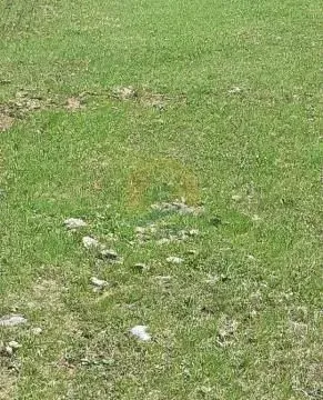 Sale, land lot, 6600m², Kolašin, Crna Gora - image 2