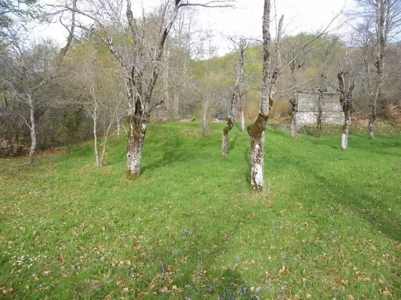 Prodaja, plac, 23600m², Kolašin, Crna Gora