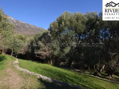 Prodaja, plac, 5345m², Zelenika, Herceg Novi - image 4