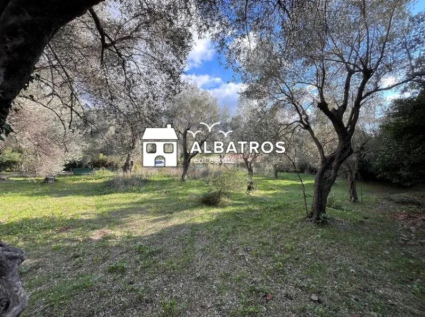 Sale, land lot, 800m², Bar, Crna Gora