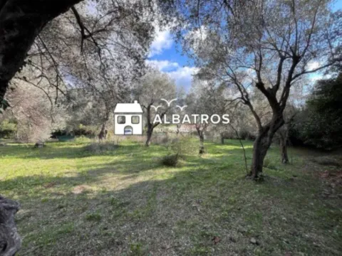 Sale, land lot, 800m², Bar, Crna Gora - image 1