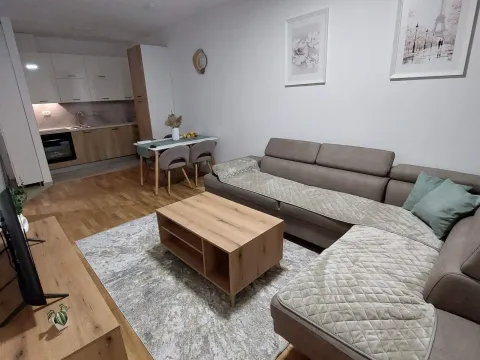 Izdavanje, jednosoban stan, 43m², Zabjelo, Podgorica - image 4