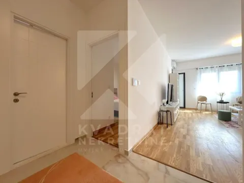 Izdavanje, jednosoban stan, 54m², Zagorič, Podgorica - image 8