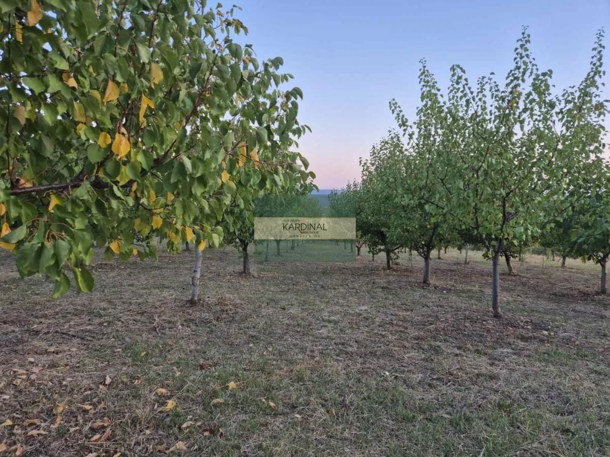 Prodaja, plac, 27920m², Siokovac, Jagodina