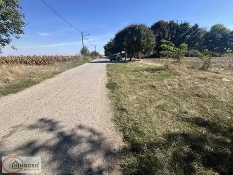 Sale, land lot, 4400m², Vojlovica, Pančevo - image 4