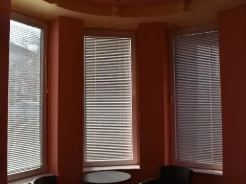 Izdavanje, kuća, 300m², Petrovaradin, Novi Sad - image 3