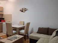 Izdavanje, garsonjera, 32m², Tuški Put, Podgorica - image 6