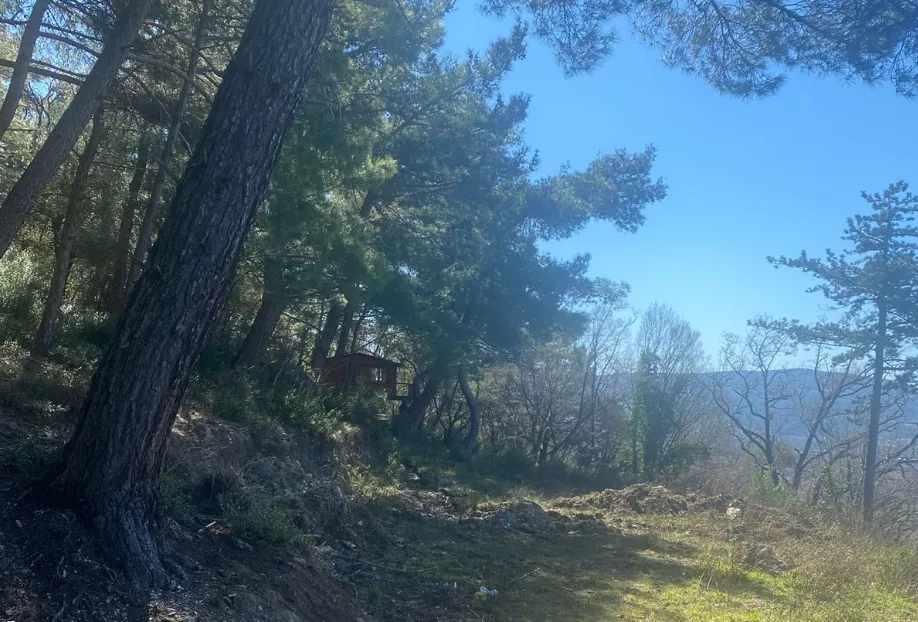 Prodaja, plac, 3626m², Kavač, Kotor