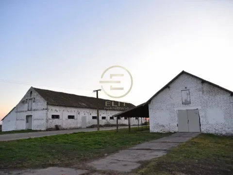 Prodaja, plac, 980m², Vrbas, Novi Sad - image 14