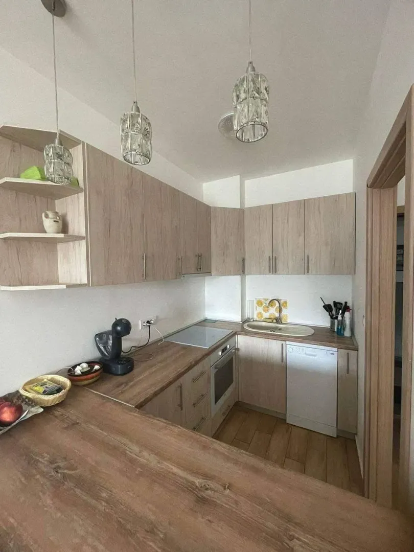 Izdavanje, jednosoban stan, 47m², Golubovina, Budva