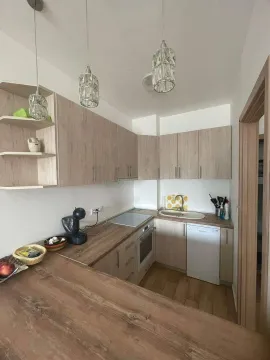 Izdavanje, jednosoban stan, 47m², Golubovina, Budva - image 4