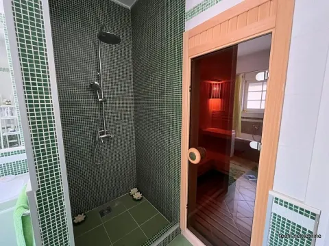 Prodaja, kuća, 320m², Fruška Gora, Novi Sad - image 14