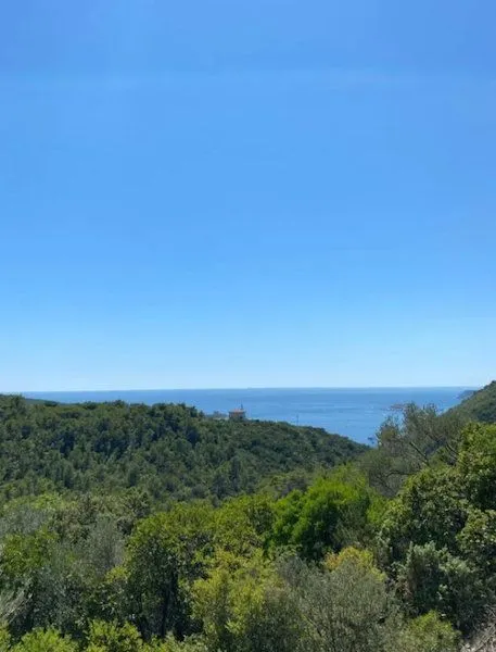 Prodaja, plac, 1200m², Herceg Novi, Crna Gora