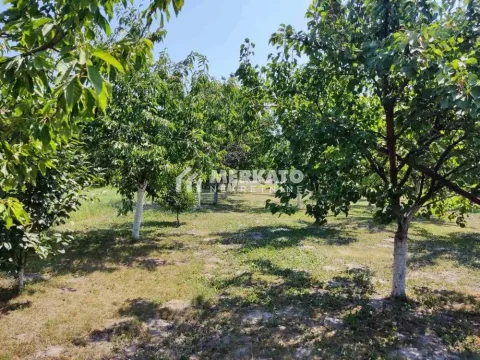 Sale, house, 270m², Aradac, Zrenjanin - image 19