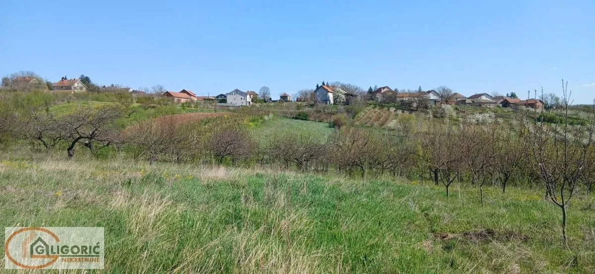 Sale, land lot, 5220m², Grocka, Beograd