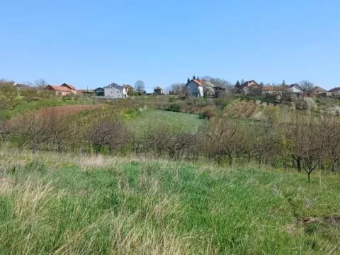 Prodaja, plac, 5220m², Grocka, Beograd - image 4