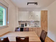 Izdavanje, jednosoban stan, 44m², Bečići, Budva - image 2