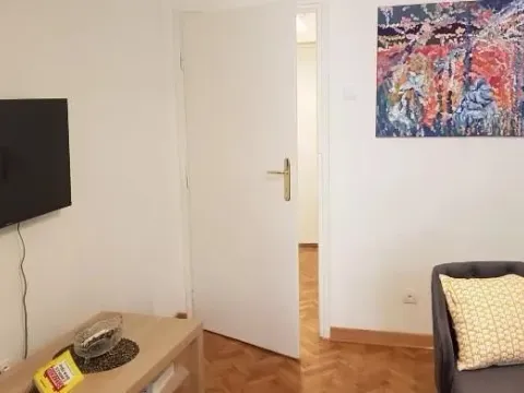 Izdavanje, jednosoban stan, 45m², Vračar Sve Podlokacije, Beograd - image 4