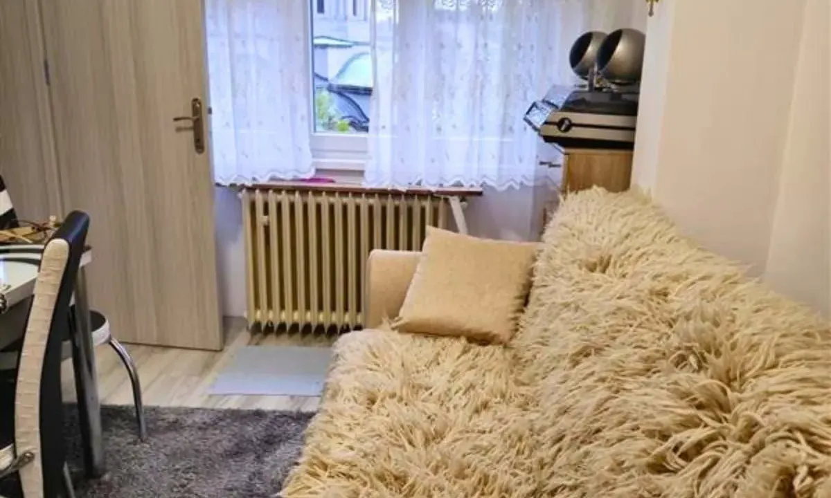 Izdavanje, dvosoban stan, 45m², Stari grad, Novi Sad